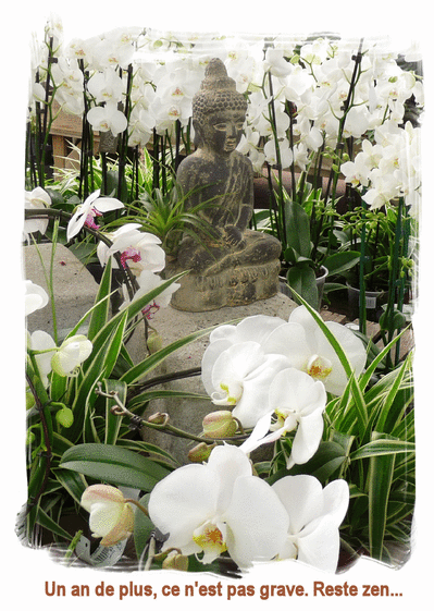 carte d anniversaire zen